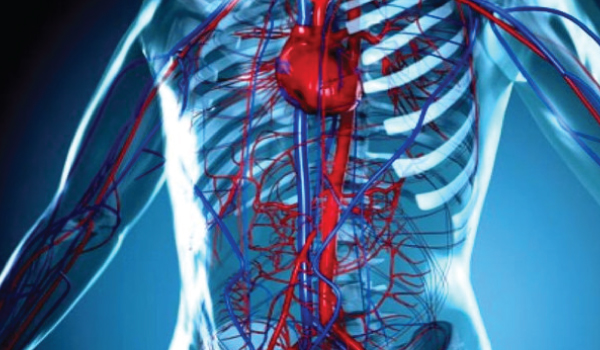 Vascular Surgery Welcome Image